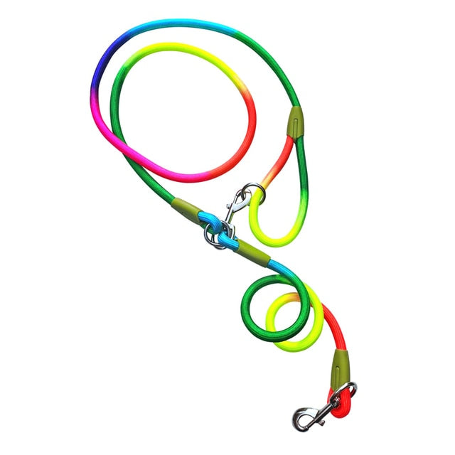 Reflective Nylon Dog Leash