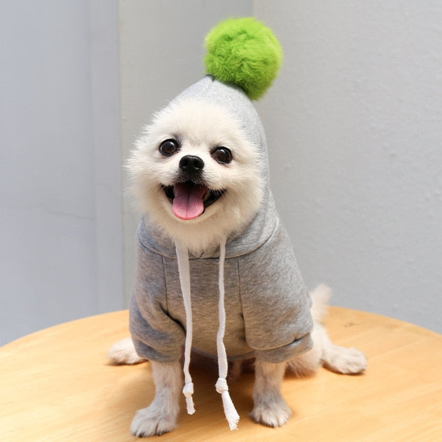 Fruit and Cosplay Pet Coat Hoodie