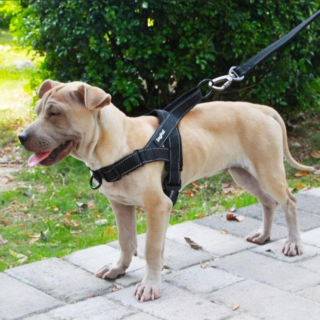 Adjustable Pet Harness