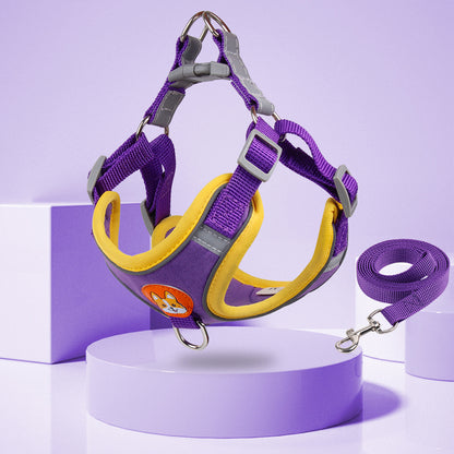 Reflective Pet Harness & Leash Set