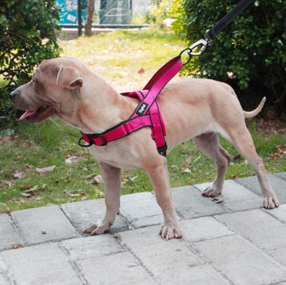 Adjustable Pet Harness