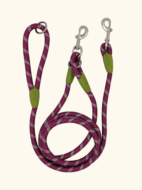 Reflective Nylon Dog Leash