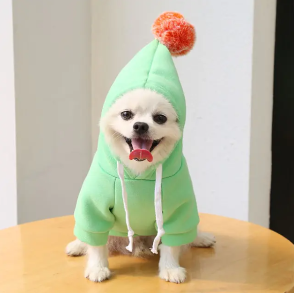 Fruit and Cosplay Pet Coat Hoodie