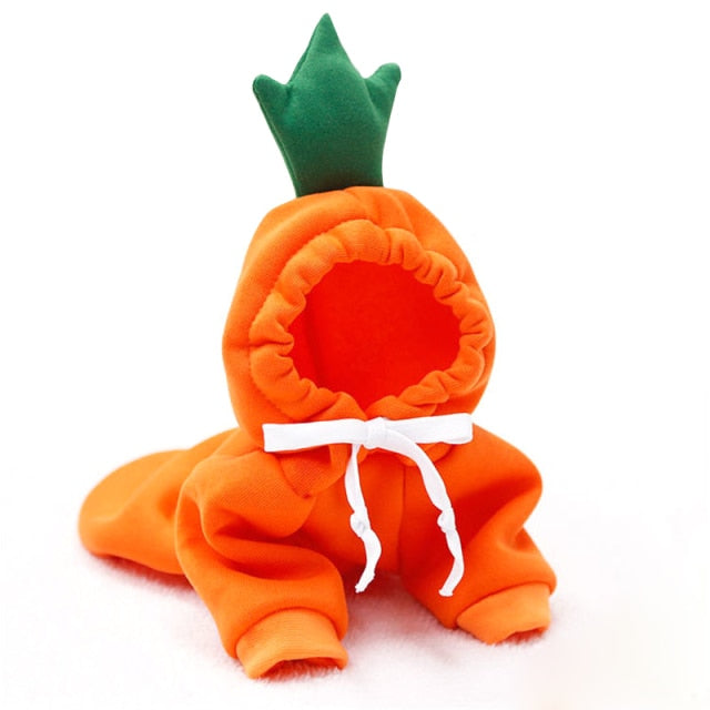 Fruit and Cosplay Pet Coat Hoodie