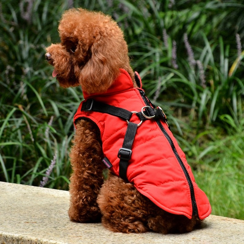 Waterproof Pet Coat