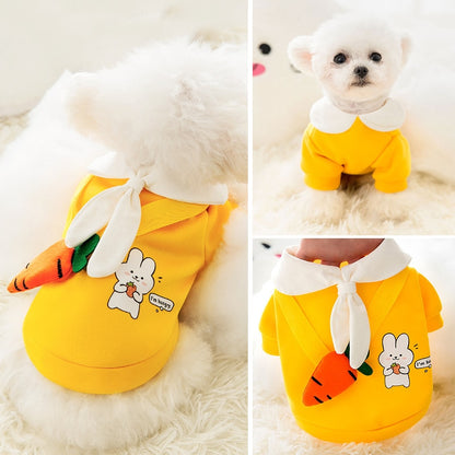 Fashionista Satchel Pet Clothing