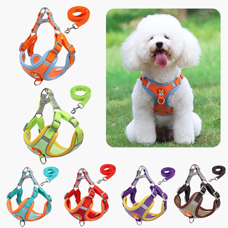 Reflective Pet Harness & Leash Set