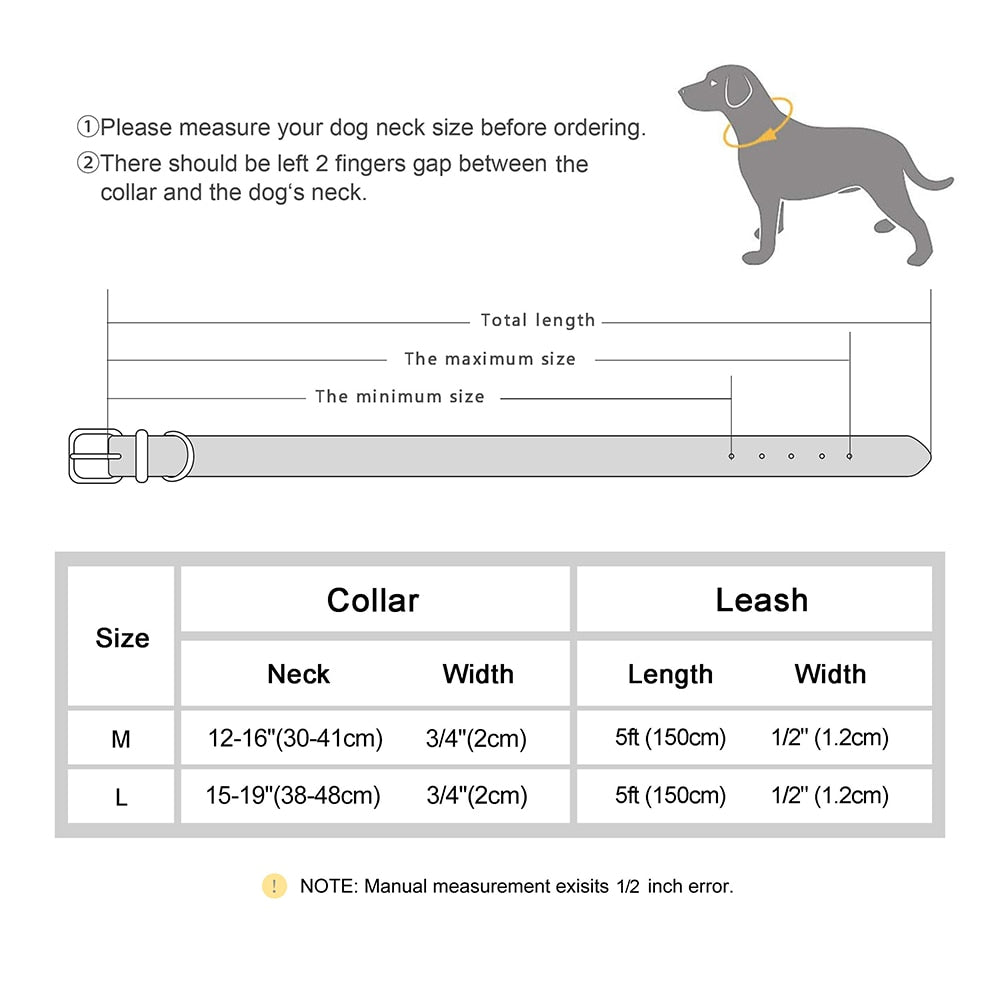 Real Leather Collar and Leash Set