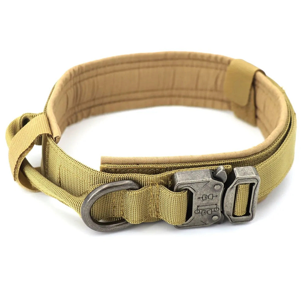 Heavy-Duty Tactical Dog Collar