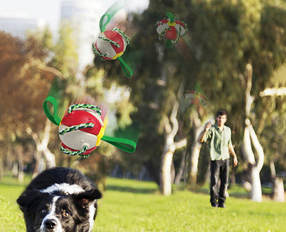 Interactive Rebound Frisbee Ball