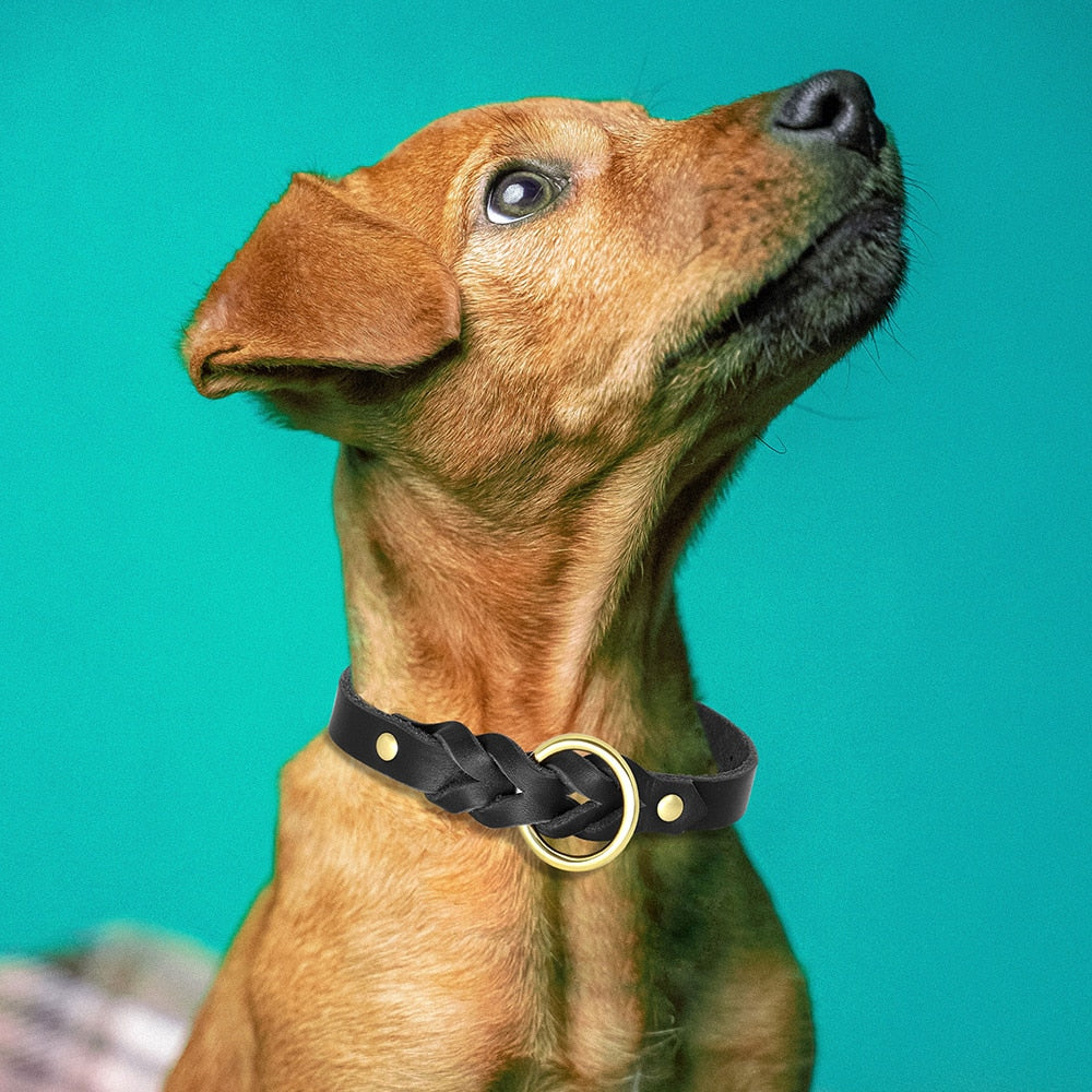 Real Leather Collar and Leash Set