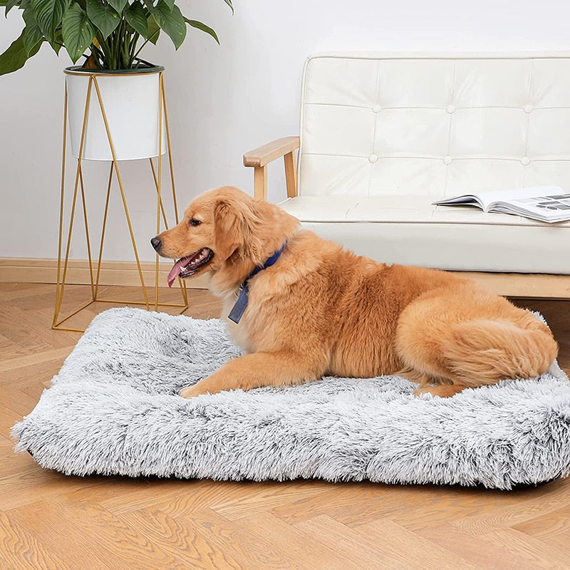 Plush Washable Snooze Bed