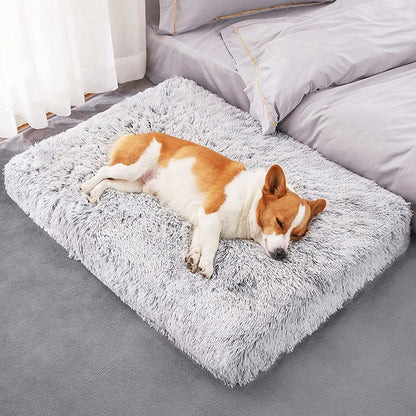 Plush Washable Snooze Bed