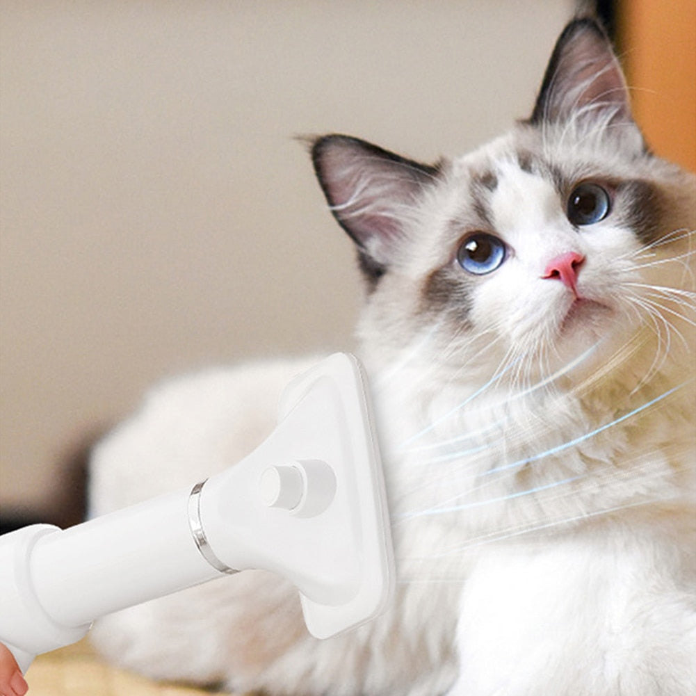 Portable 2-in-1 Pet Hair Dryer