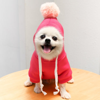 Fruit and Cosplay Pet Coat Hoodie