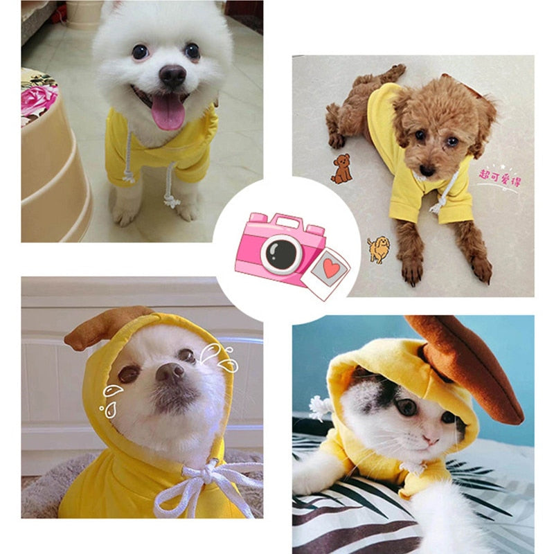 Fruit and Cosplay Pet Coat Hoodie