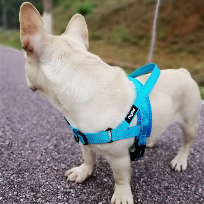 Adjustable Pet Harness