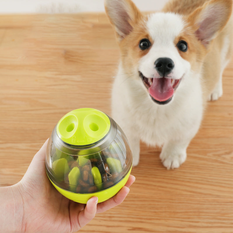 Pet IQ Treat Toy Bundles