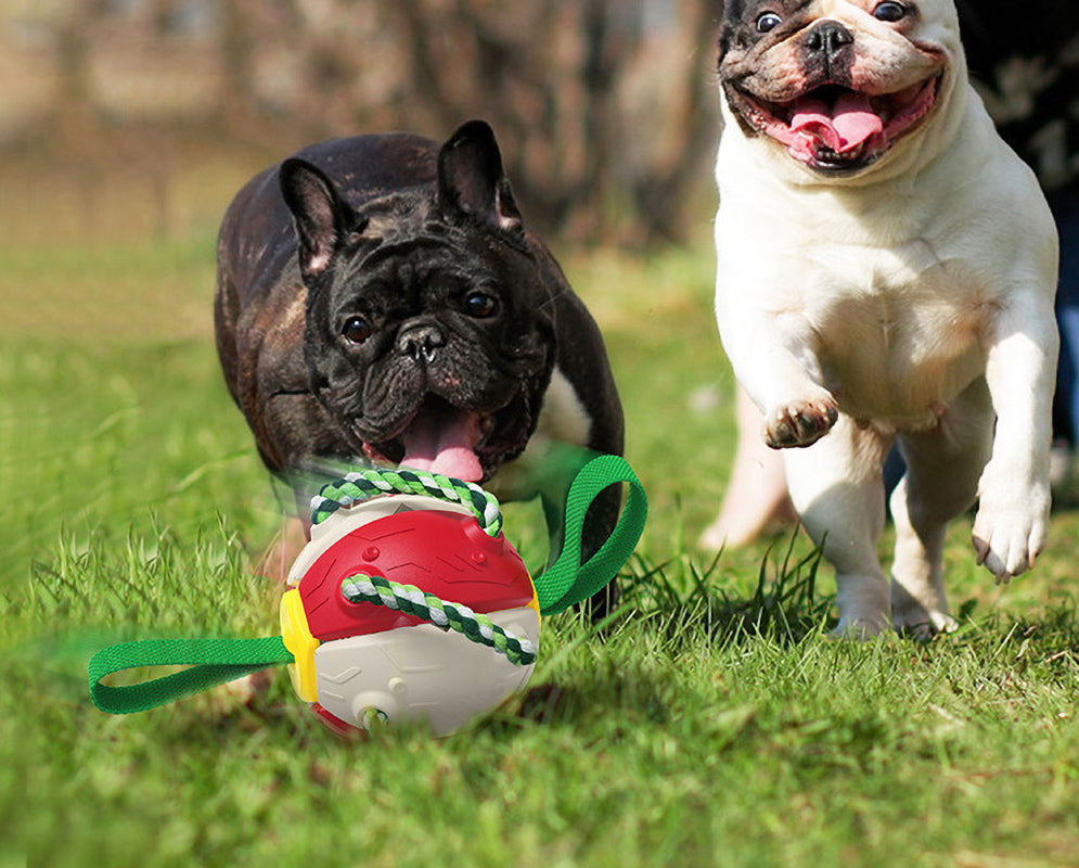 Interactive Rebound Frisbee Ball