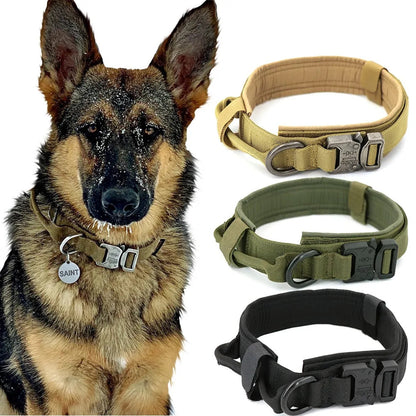 Heavy-Duty Tactical Dog Collar