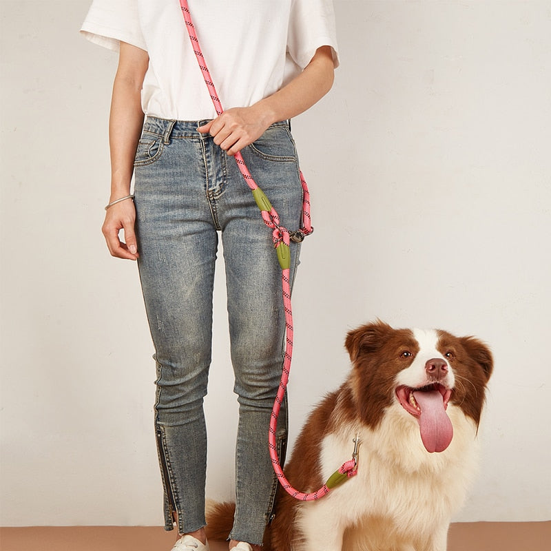 Reflective Nylon Dog Leash