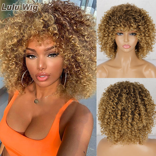 LULU WIG™ Afro Kinky Curly Wig